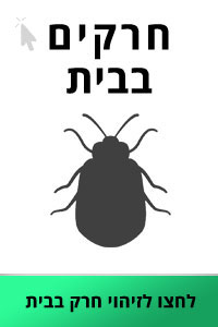 זיהוי חרקים בבית