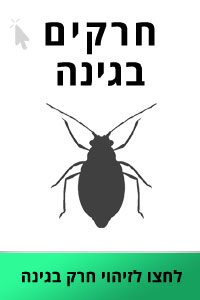 זיהוי חרקים בגינה