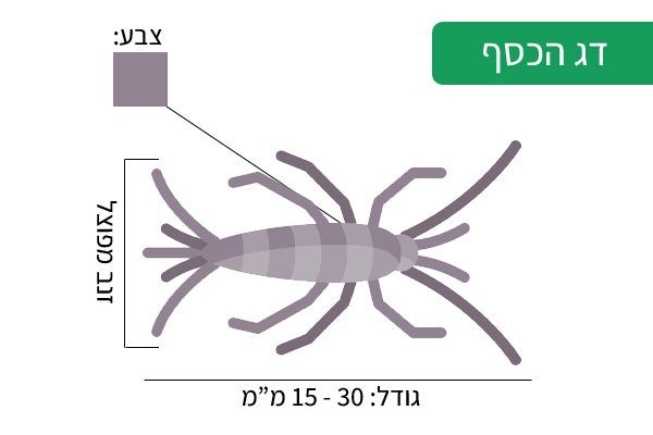 דג הכסף